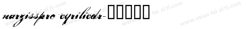 narzisspro cyrilicdr字体转换